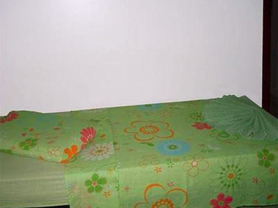 Hotel Piramides Caldas Novas
